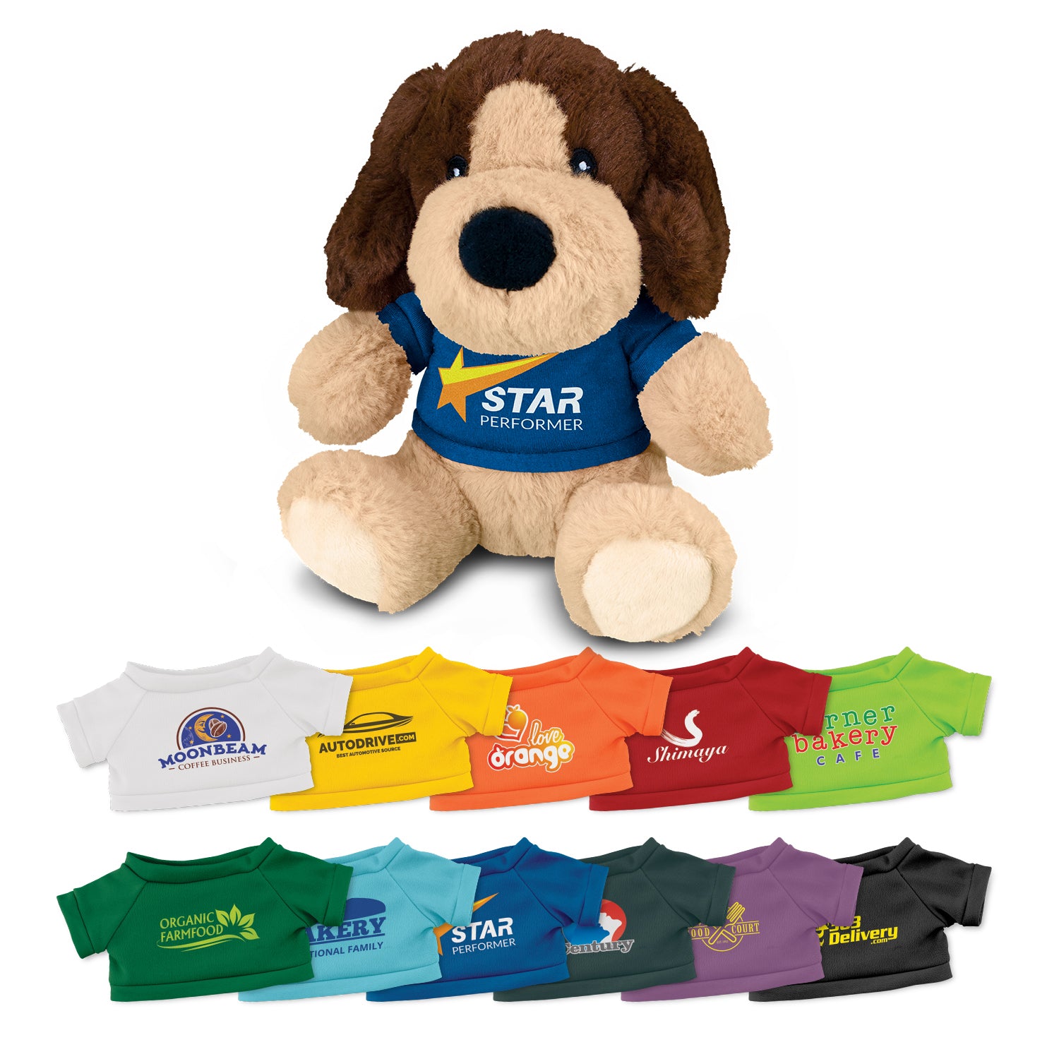 Dog Teddy