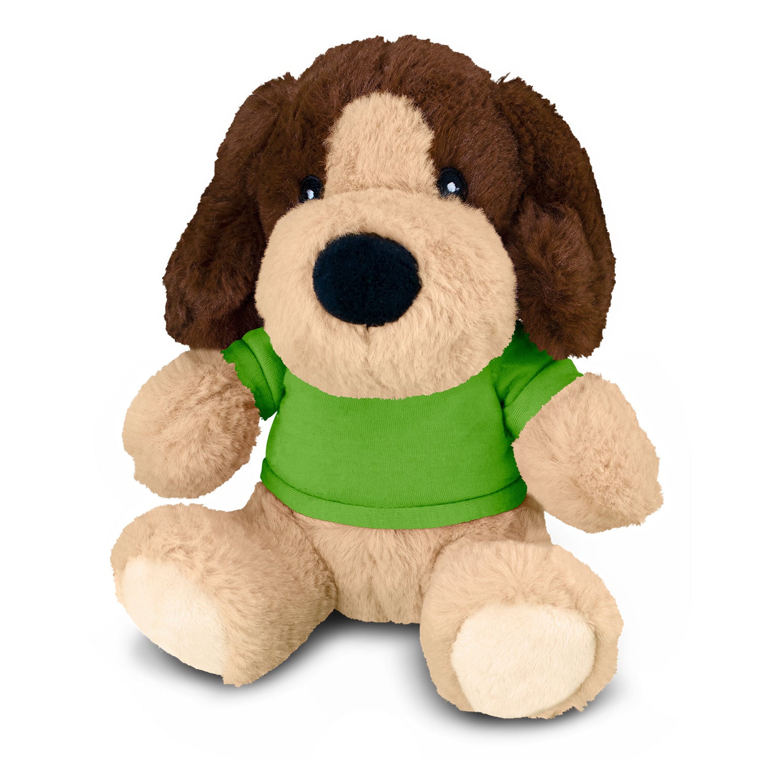 Dog Teddy