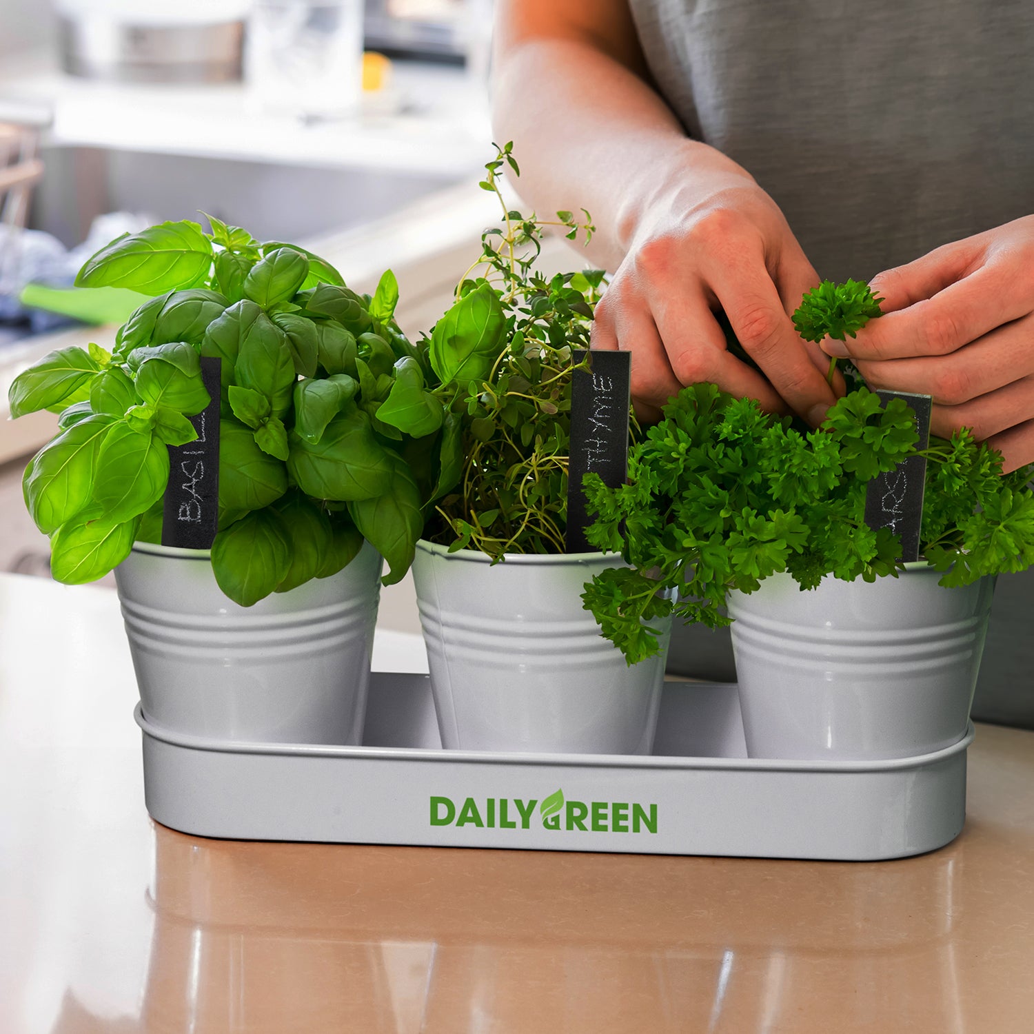 Branded Herb Planter Set